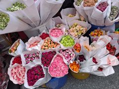 -越秀西湖花市(广州城市广场花卉店)