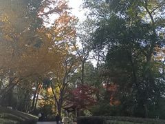 -北极阁公园