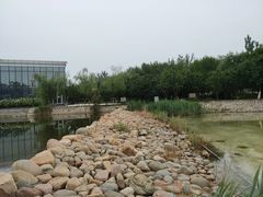 -绿岛公园(滨海新区)