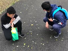 -东郊湿地公园