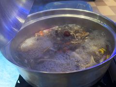 鲜人参锅底-千岛蚝高压锅生蚝·人参火锅(白云万达店)