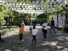 -金鸡湖桃花岛