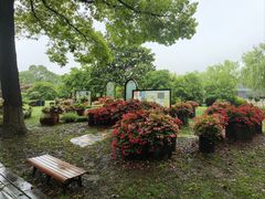 -上海鲜花港