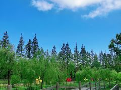 -上海长兴岛郊野公园