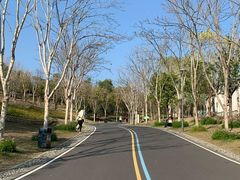 -牛岗山公园