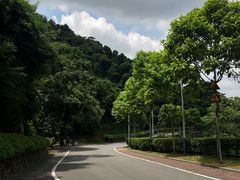 -火炉山森林公园