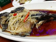 -盛京富丽园老菜馆·东北菜(和平南大街店)