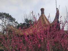 -雨花胜境