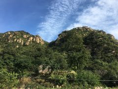 -大岭沟猕猴桃谷风景区