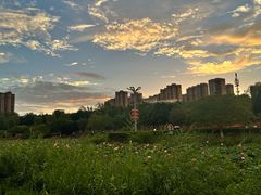 -咸阳湖景区