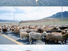 -赛里木湖风景名胜区