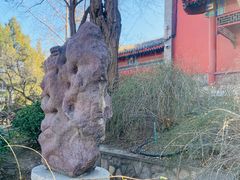 -郭守敬纪念馆