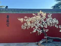 -华清宫景区
