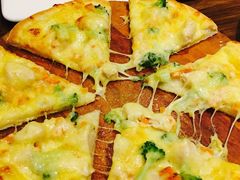 -百好乐宠物友好餐厅(朝外大街店)