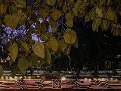 -成都市活水公园