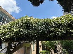 -四川大学(望江校区)