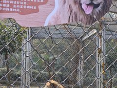 -合肥野生动物园