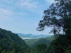 -午潮山国家森林公园