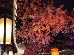 -荷塘秋月·本帮江浙菜(国权路店)