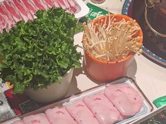 -曲氏老北京铜锅涮肉•火锅(不老街店)