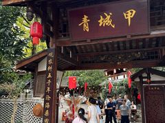 -青城甲(青城山店)