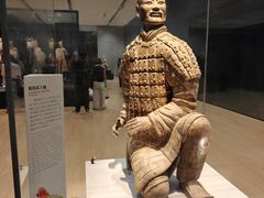 -秦始皇帝陵博物院-丽山园