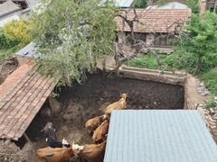 -鸡鸣驿城