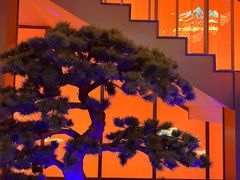 -海月轩海鲜豆捞(紫金塔店)