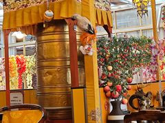 -吉祥圣雪藏餐
