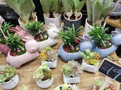 -豆豆花艺(新光天地店)