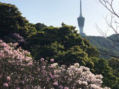 -梧桐山风景名胜区