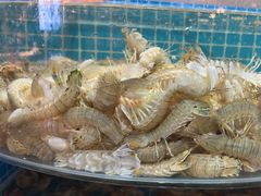 -蓝珊甄选海鲜自助·火锅大排档(近阿那亚店)