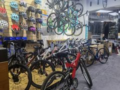 -GIANT捷安特自行车专卖店(金桥台儿庄路店)