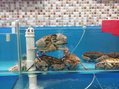 -港畔赶海蒸汽海鲜烧烤自助(仙螺岛店)