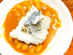-金砂阿洲鱼册店