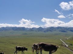 -新疆那拉提国家旅游度假区