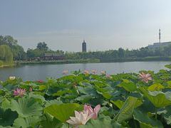 -西海子公园