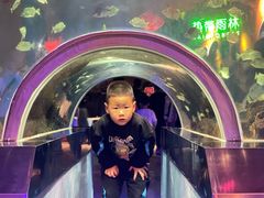 -石家庄海洋公园