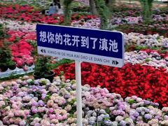 -滇池海埂公园