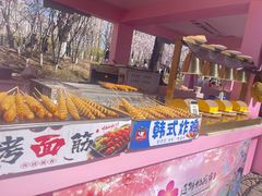 -桃花堤公园