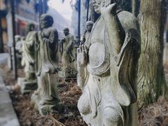 -武陵山森林公园