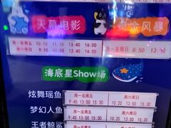 -烟台海昌鲸鲨海洋公园