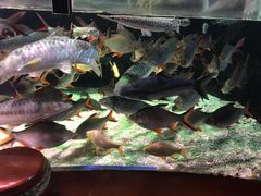 -太平洋海底世界