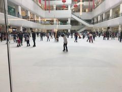 -炫采冰场(红博中央公园商场店)