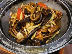 -朱桥甲鱼馆(淮海西路店)