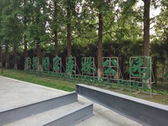 -黄海国家森林公园