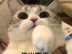 -潮发潮汕牛肉店(龙洞店)