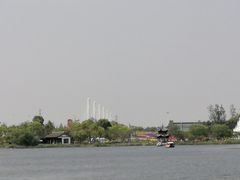 -杭州湾海上花田景区