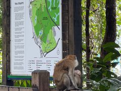 -武吉知马自然保护区