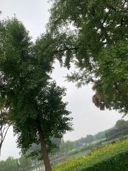 -HEYAN长风荷妍专业脱毛美肤
